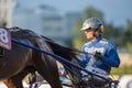 Harness race champion BjÃÂ¶rn Goop Royalty Free Stock Photo